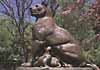 A lioness statue in downtown Odessa next to Deribasovskaya Street